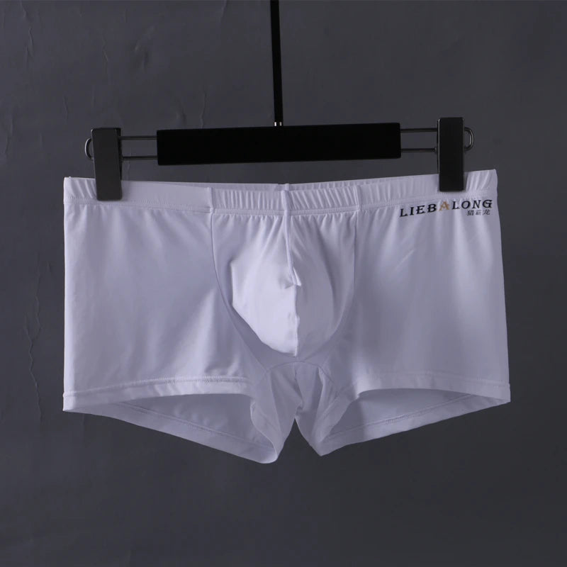 Men's Panties Men Ice Silk Boxers Underwear Sexy Boxer Shorts Underpants Big Bag Breathable High Elastic Hombre Boxershorts