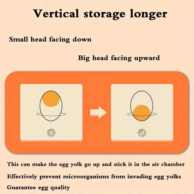 Kitchen Egg Storage Box, Refrigerator Fresh-Keeping 2-Layer Drawer Style Large Capacity Storage, Household Kitchen Storage Box