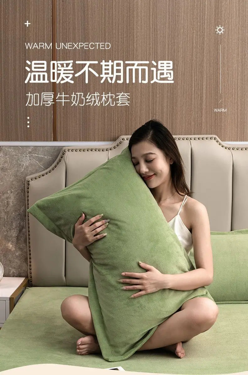 Coral Fleece Soft Winter Pillowcase Solid Plain Simple Home Bedroom House Hold Pillow Case Cover Zipper Warm  Comfortable