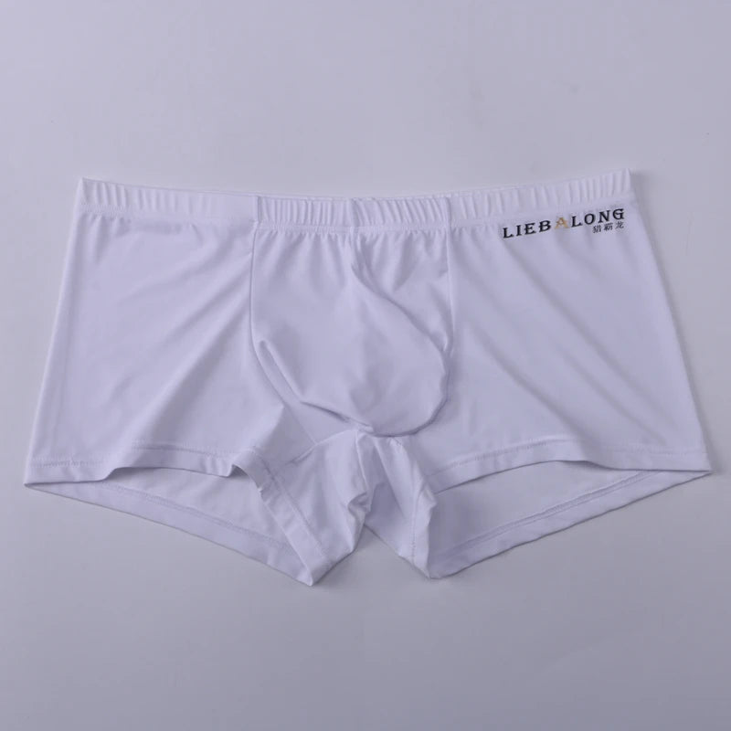 Men's Panties Men Ice Silk Boxers Underwear Sexy Boxer Shorts Underpants Big Bag Breathable High Elastic Hombre Boxershorts